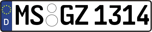 MS-GZ1314