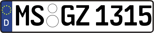 MS-GZ1315