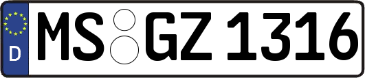 MS-GZ1316
