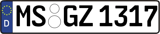 MS-GZ1317