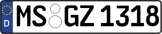 MS-GZ1318