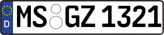 MS-GZ1321