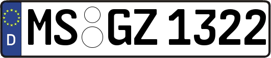 MS-GZ1322