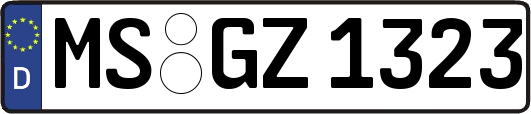 MS-GZ1323