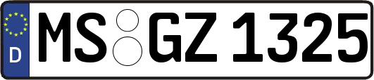 MS-GZ1325