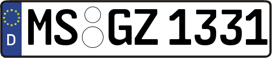 MS-GZ1331