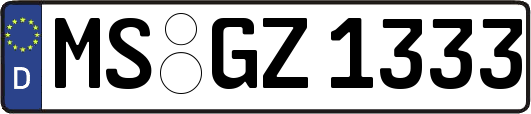 MS-GZ1333