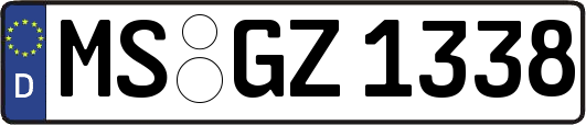 MS-GZ1338