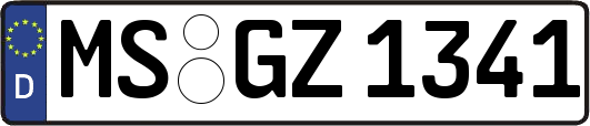 MS-GZ1341
