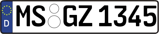 MS-GZ1345