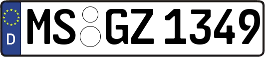 MS-GZ1349