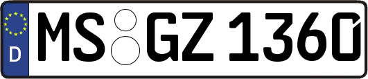 MS-GZ1360