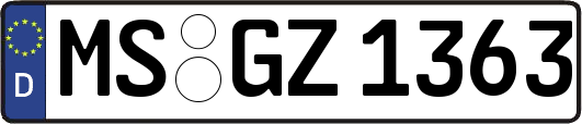 MS-GZ1363