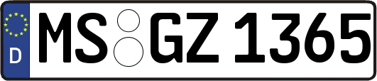 MS-GZ1365