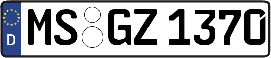 MS-GZ1370