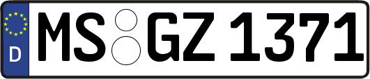 MS-GZ1371