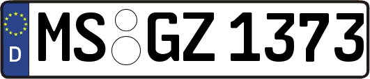 MS-GZ1373