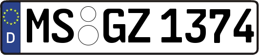 MS-GZ1374