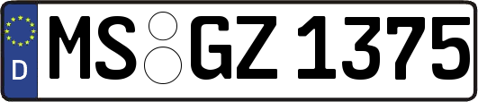 MS-GZ1375