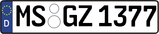 MS-GZ1377