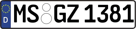 MS-GZ1381