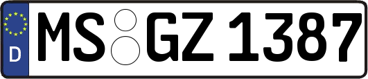 MS-GZ1387
