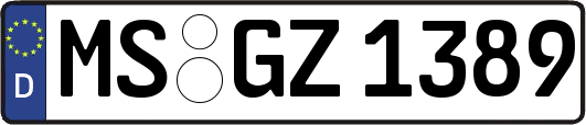 MS-GZ1389