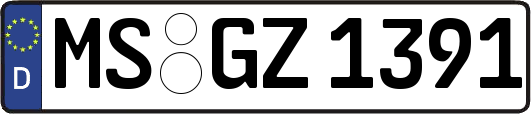 MS-GZ1391