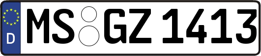 MS-GZ1413