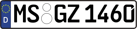 MS-GZ1460