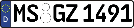 MS-GZ1491