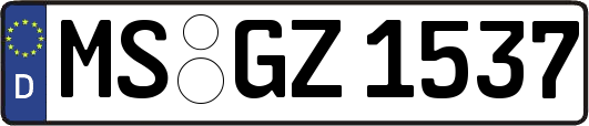 MS-GZ1537