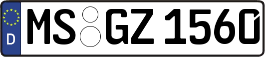 MS-GZ1560