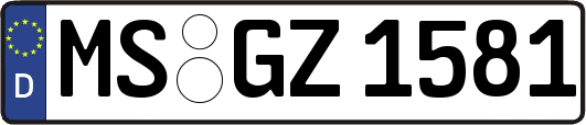 MS-GZ1581