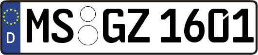 MS-GZ1601