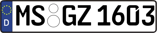 MS-GZ1603
