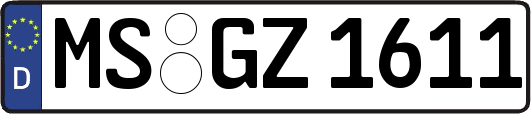 MS-GZ1611