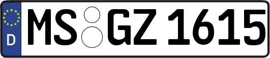 MS-GZ1615
