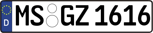 MS-GZ1616