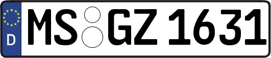 MS-GZ1631