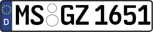 MS-GZ1651