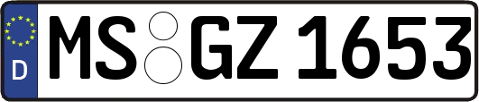 MS-GZ1653