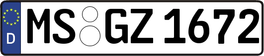 MS-GZ1672