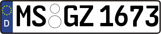 MS-GZ1673