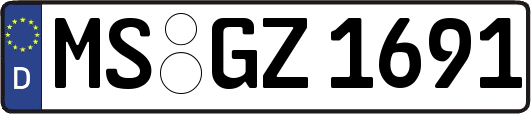 MS-GZ1691