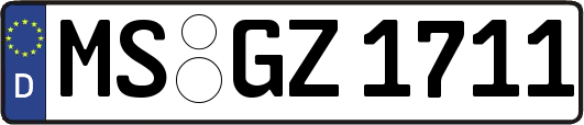 MS-GZ1711