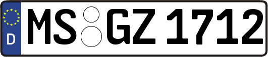 MS-GZ1712