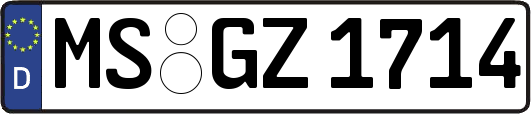 MS-GZ1714