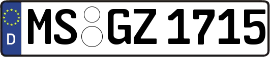 MS-GZ1715