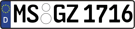 MS-GZ1716